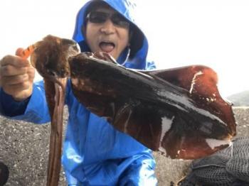 �����ꥤ��