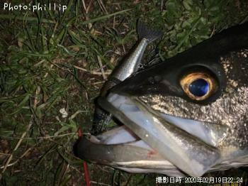 �����Х�