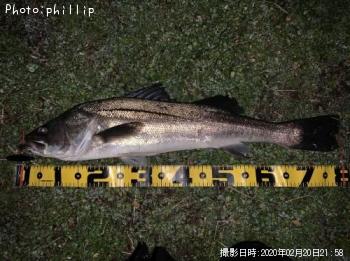 �����Х�