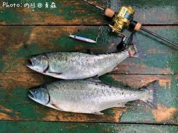 ¥µ¥¯¥é¥Þ¥¹