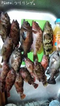 ���å��ե��å���