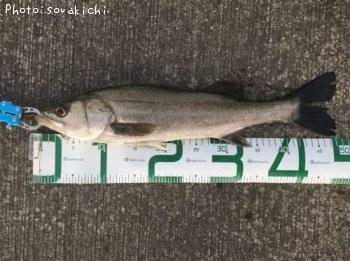 �����Х�