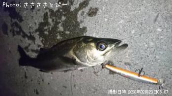 �����Х�