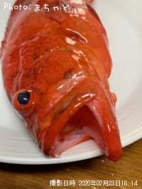 ¥¢¥«¥ß¡¼¥Ð¥¤¡Ú¥¢¥¶¥Ï¥¿¡Û