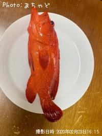 ¥¢¥«¥ß¡¼¥Ð¥¤¡Ú¥¢¥¶¥Ï¥¿¡Û