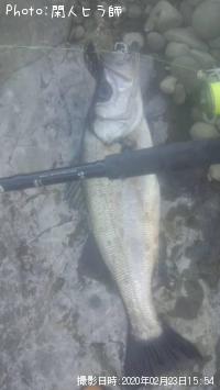 �ҥ饹����