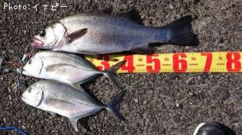 �ҥ饹����