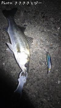 �����Х�