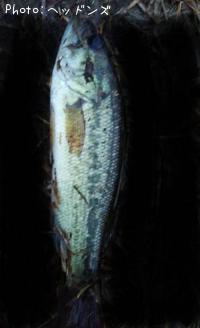 �֥�å��Х�