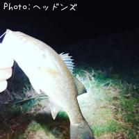 �֥�å��Х�