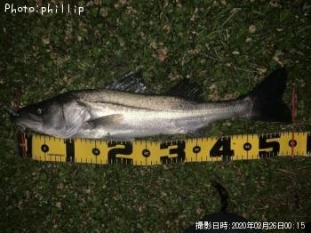 �����Х�