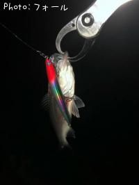 �����Х�