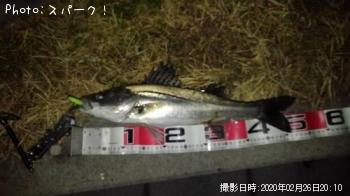 �����Х�