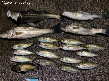 �����Х�����������Х�