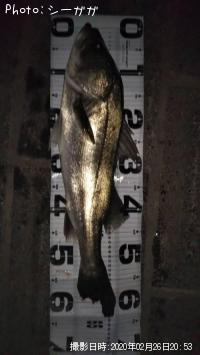 �����Х�