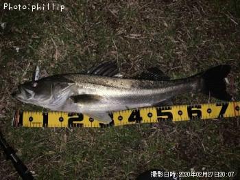 �����Х�