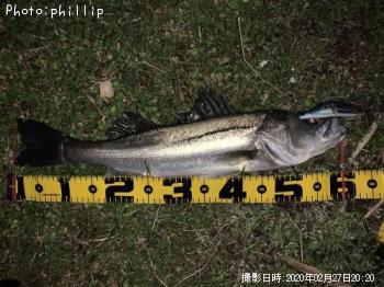 �����Х�