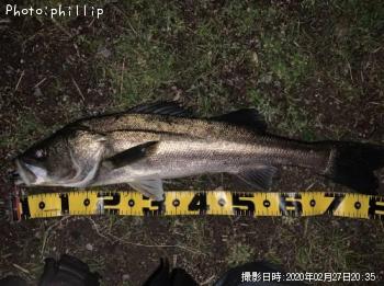 �����Х�