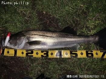 �����Х�