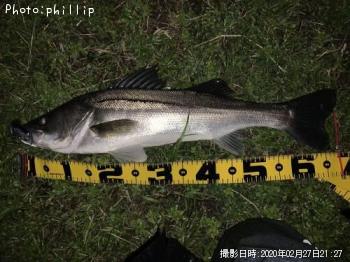 �����Х�