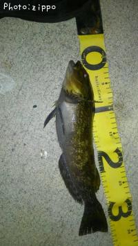 �����ʥ�