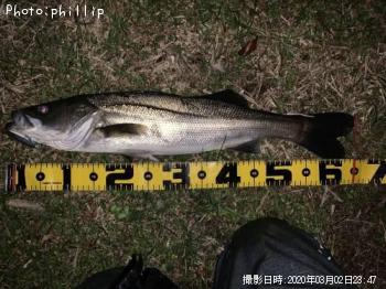 �����Х�