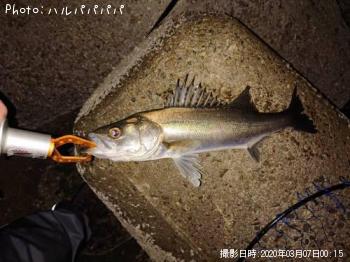 �����Х�