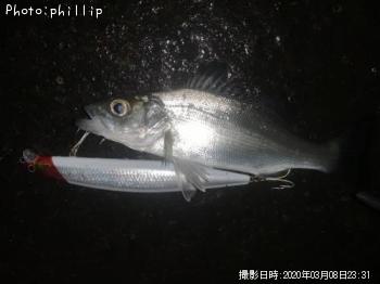 ¥Ò¥é¥»¥¤¥´