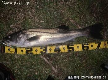 �����Х�