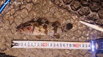 �����Υ���Х�