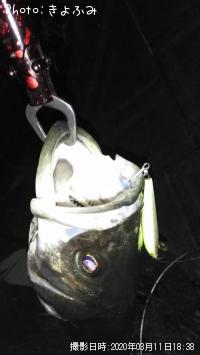 �����Х�