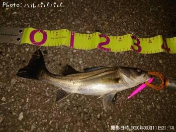 �����Х�