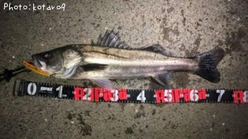 �����Х�