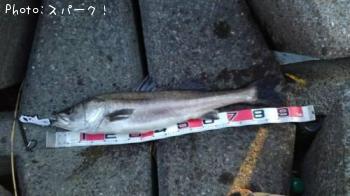 �����Х�