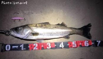 �����Х�