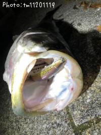 �����Х�