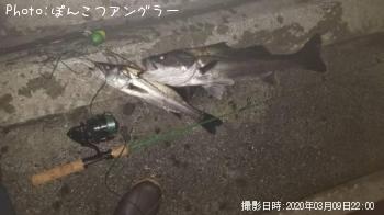 �����Х�