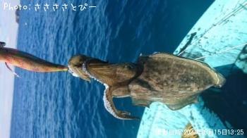 ��󥴥���������ƻ