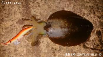 �����ꥤ��