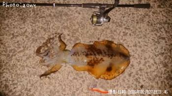 �����ꥤ��