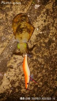 �����ꥤ��