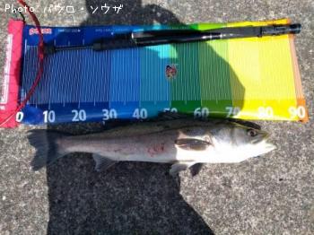 �����Х��ʥޥ륹������