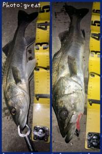 �����Х�