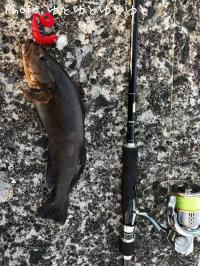 �����ʥ�