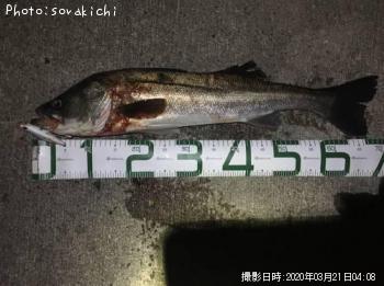 �����Х�