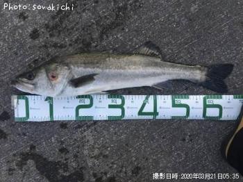 �����Х�