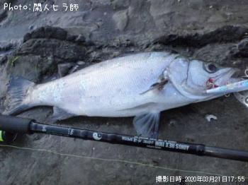 �ҥ饹����