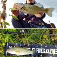 �֥�å��Х�