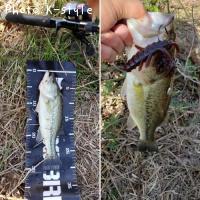 ¥Ö¥é¥Ã¥¯¥Ð¥¹