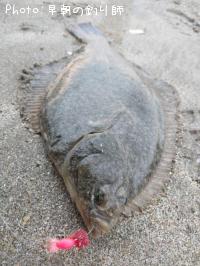 �ޥ����쥤